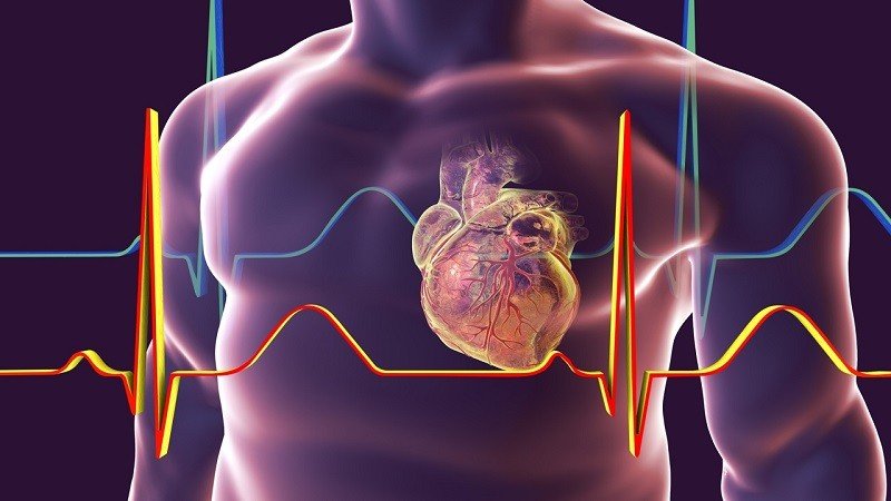 بزرگی قلب |  بیماری قلب بزرگ شده یا کاردیومیوپاتی چیست؟