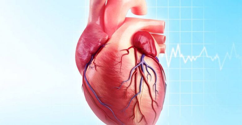 آئورت قلب ، تست ها و آزمایشات مربوط به آئورت قلب + درمان