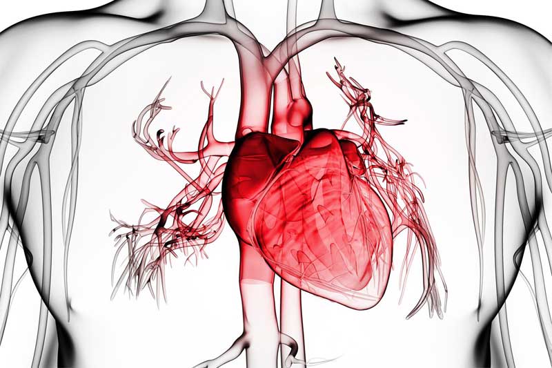 بیماری دریچه قلب چیست؟ بررسی کامل و راه درمان