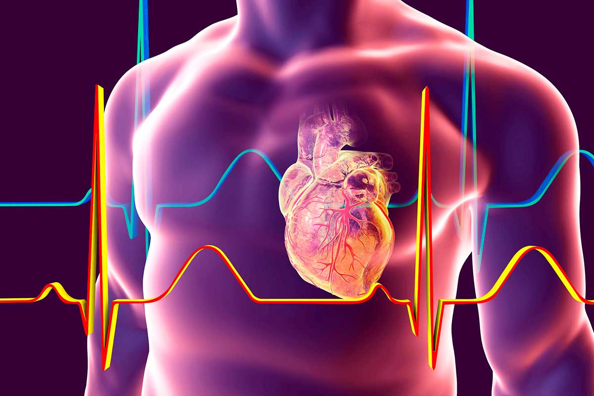 عملکرد قلب | چرخه فعالیت قلبی (سیستم الکتریکی قلب و پمپاژ)