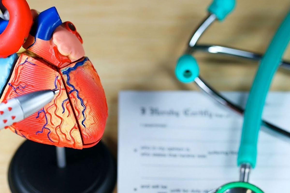 اکوکاردیوگرافی | اکوی قلب در بیماری دریچه قلب