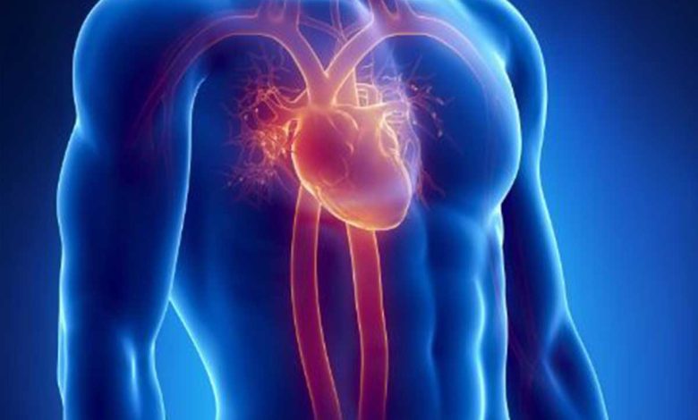 کاردیومیوپاتی هیپرتروفیک یا سخت شدن ماهیچه های قلبی