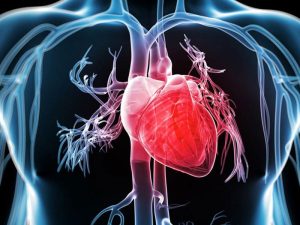 انواع شایع بیماری های قلبی عروقی