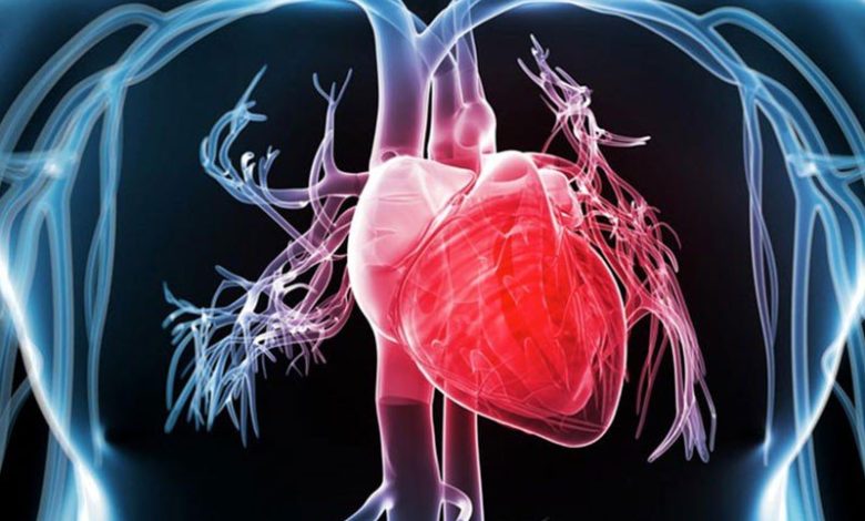انواع شایع بیماری های قلبی عروقی