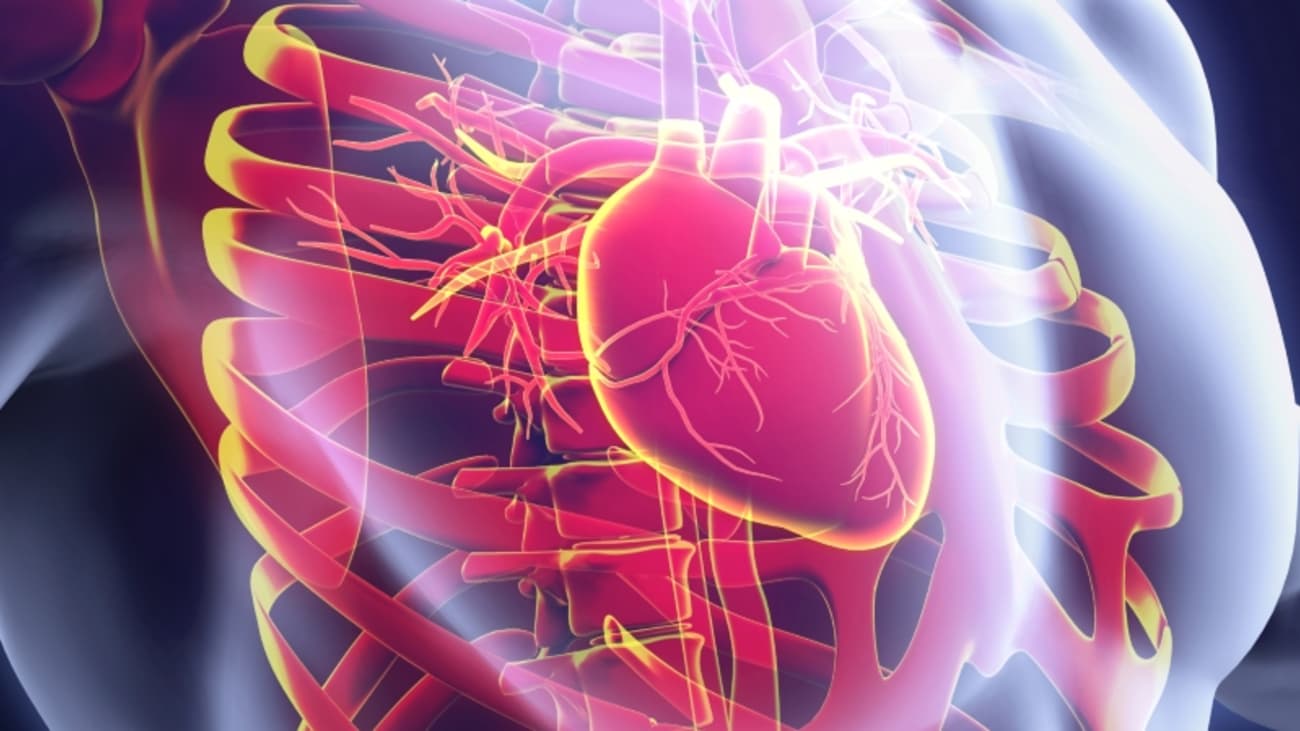 عوامل موثر بر برگشت خون از دریچه میترال