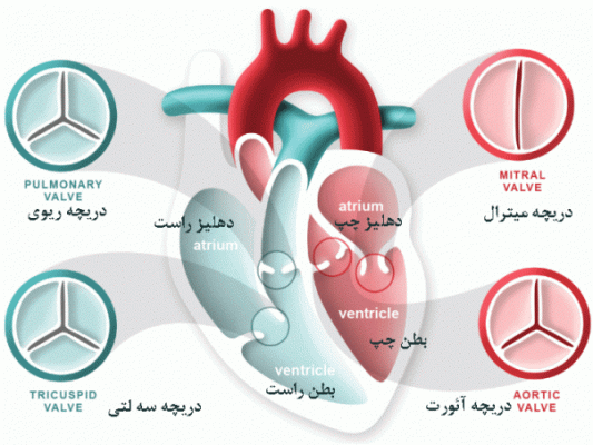 بیماری های دریچه ای قلب