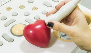 تفاوت اکوی قلب با اکو استرس