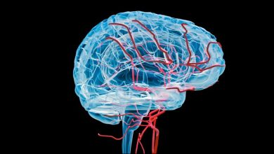 سیستم عروق بازو